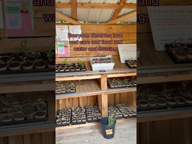 Three years into running our Free Farm Stand and this is what we’ve learned  #communitysupport