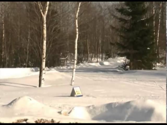 В ярославском Демино появится биатлонная трасса