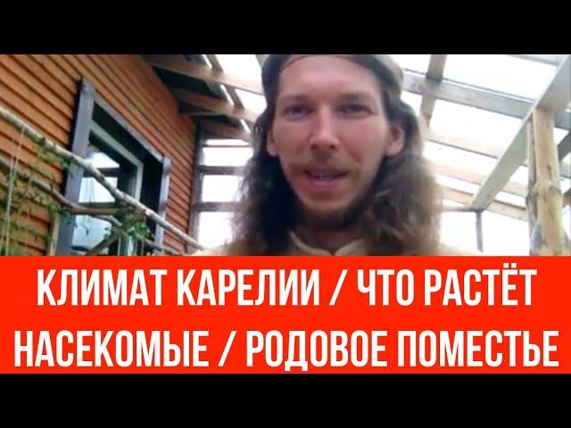 Климат Карелии Что растёт Насекомые Родовое поместье