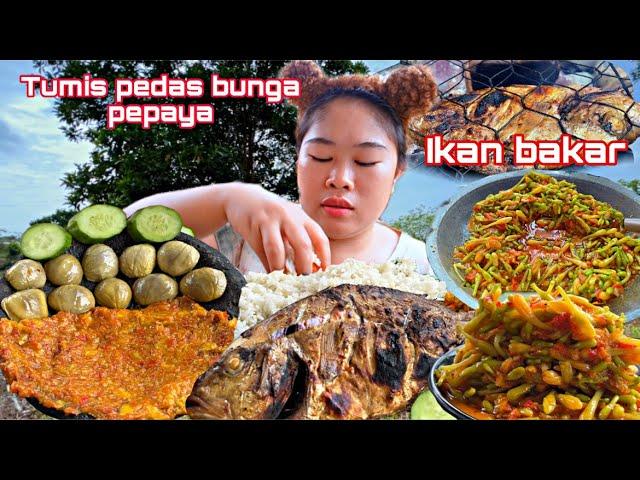 NYARI DAUN SEDURUK, BAKAR IKAN, DAN MASAK TUMIS PEDAS BUNGA PEPAYA LANGSUNG MUKBANG..