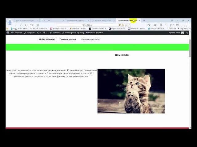 Как сделать лендинг на Wordpress