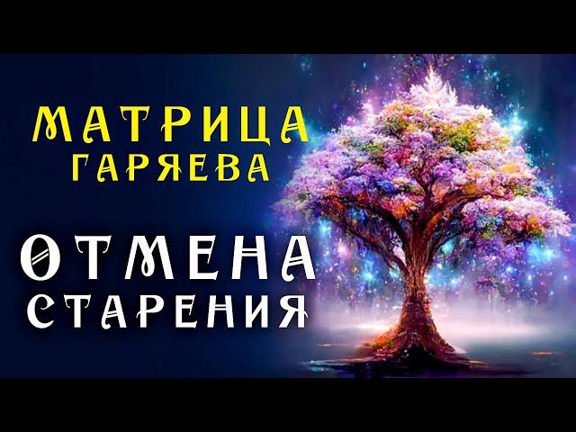 Самое Мощное Омоложение организма ️ Матрица Гаряева Торможение Старения