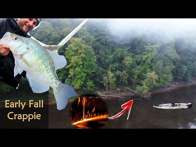 Best Early Fall Crappie Fishing Locations (and gear)