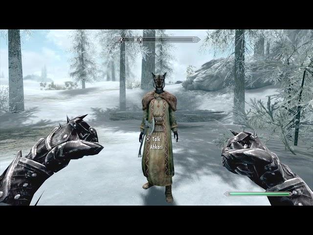 Skyrim AE ~ How To Farm Rare Curios Items (+Infinite Everything)