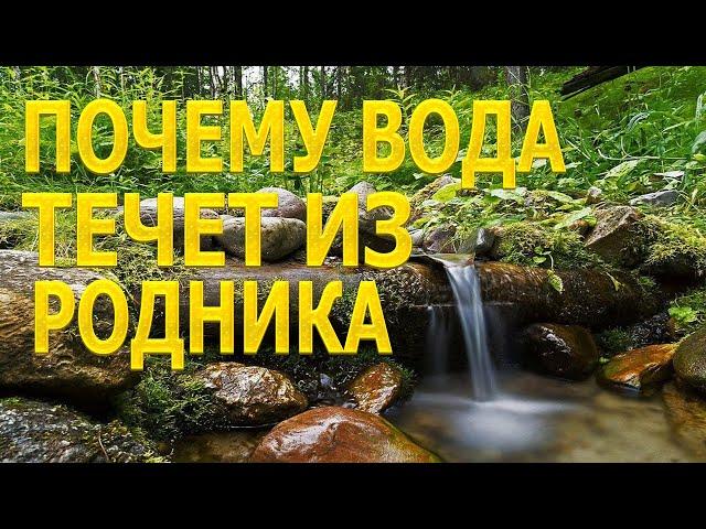 Как устроен родник, откуда появляется вода, все о родниках.