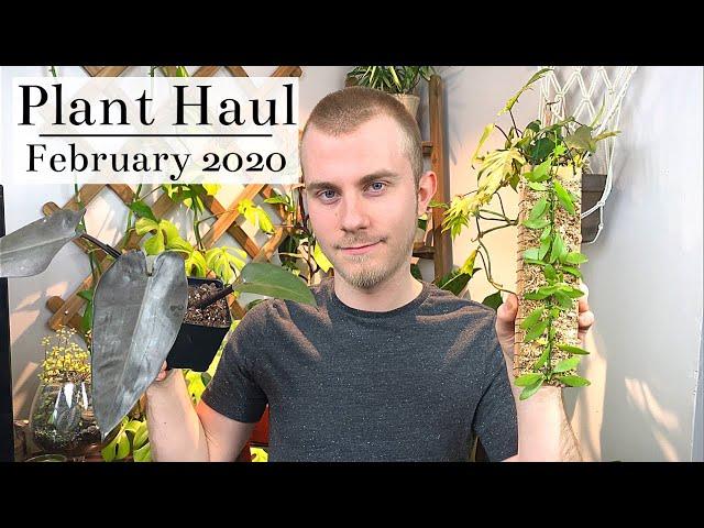 Huge Houseplant Haul | February 2020