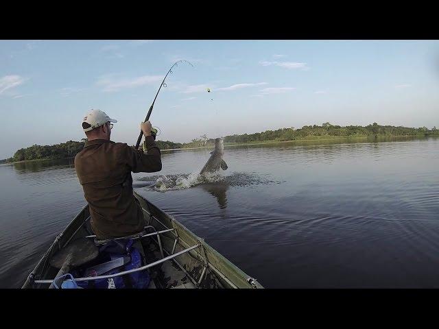 FISHING FOR HUGE ARAPAIMA IN THE WILD AMAZON!