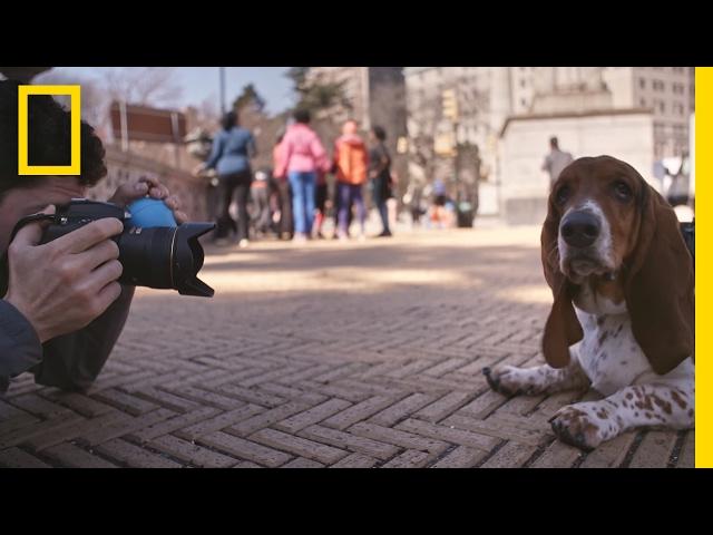 A Day in the Life of 'The Dogist,' Pet Photographer Extraordinaire | Short Film Showcase