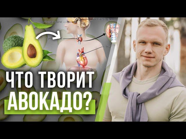 Всё про авокадо! / Какая польза от авокадо?