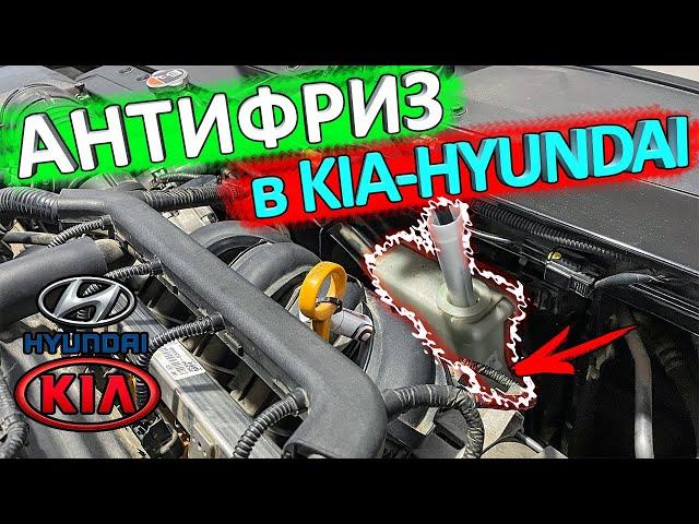 Антифриз KIA RIO и HYUNDAI SOLARIS  какой, куда доливать, как проверить уровень