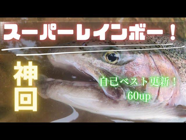 【神回】ニジマス自己新60upが下からBUX(スプーン)を食い上げてきた！ボウズ覚悟からの大逆転！要因はこれだっ！？十勝川水系