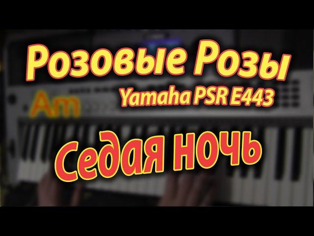 Светка Соколова и Седая ночь на Yamaha PSR E443 Хард рок, Аккорды