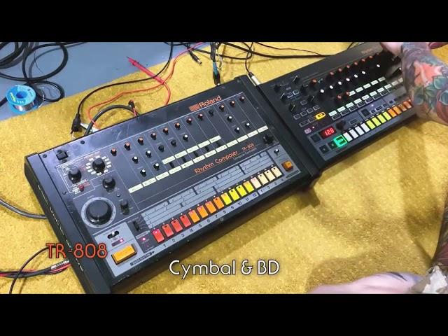 Roland TR-808 vs Behringer RD-8