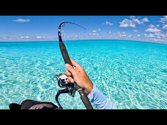 Fishing for Monsters in Crystal Clear Water