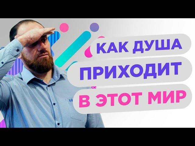 КАК ДУША ВЫБИРАЕТ СЕБЕ НОВУЮ ЖИЗНЬ | Павел Науменко