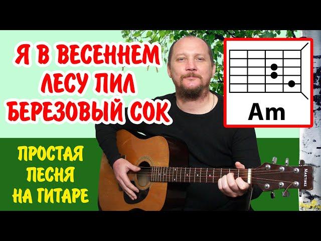 Я В ВЕСЕННЕМ ЛЕСУ ПИЛ БЕРЕЗОВЫЙ СОК - ПРОСТАЯ ПЕСНЯ НА ГИТАРЕ (АККОРДЫ БЕЗ БАРРЭ + БОЙ) COVER