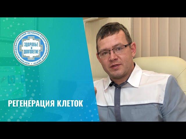  Регенерация клеток