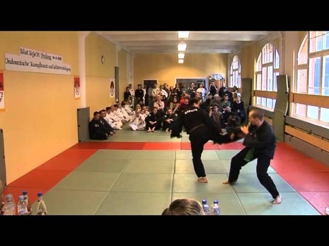 Freikampf VII - SiGePi Institut - Kampfkunst, Kampfsport und Selbstverteidigung Berlin