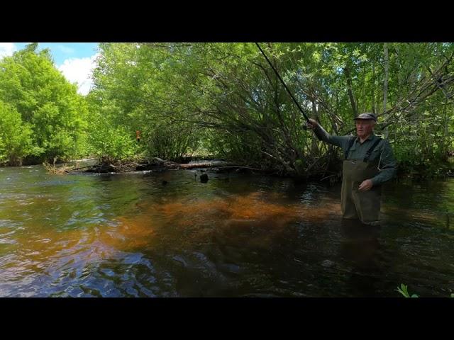 Рыбалка по горной речки в июне 2021, 4K. Fishing on the mountain river