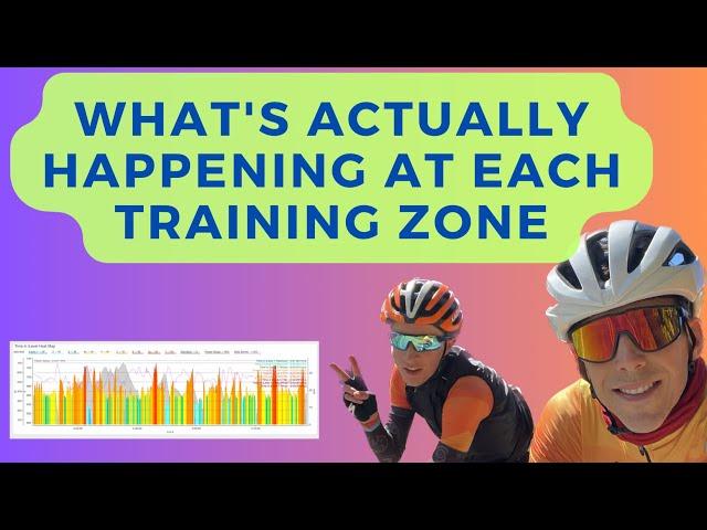 Cycling Physiology: Training Zones, Fat vs. Carb Burning, Muscle Fiber Types, Polarized Training