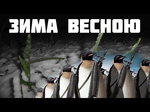 «ПИНГВИНЫ АТАКОВАЛИ УКРАИНУ»(СНЕГ ПОСРЕДИ ВЕСНЫ)Первый снег в апреле
