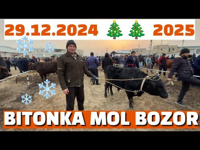 BUXORO SHAXAR MOL BOZOR 29.12.2024YEMLANGAN BUQA NARXLAR.BOBUR AKA  BOZORDA..