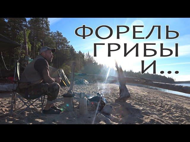 ФОРЕЛЬ ГРИБЫ И ЛОЖКА СО ЛЬВЕНКОМ! ОСЕННЯЯ ВЫЛАЗКА НА КАРЕЛЬСКОЕ ОЗЕРО!