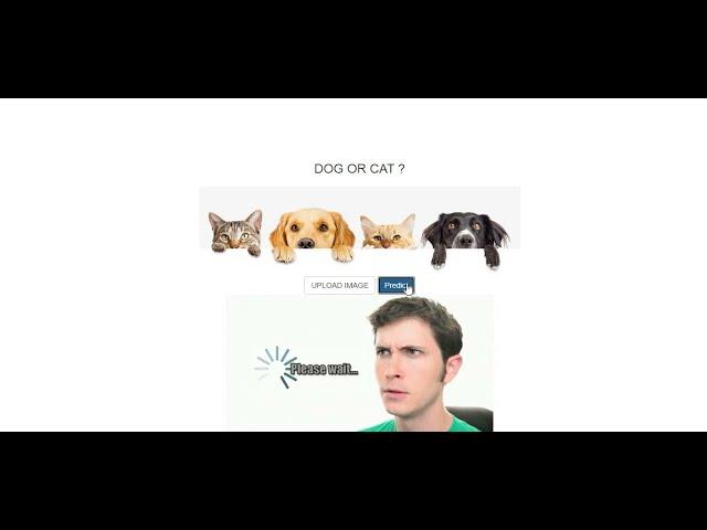 Image classification - Cats Vs Dogs App Code -