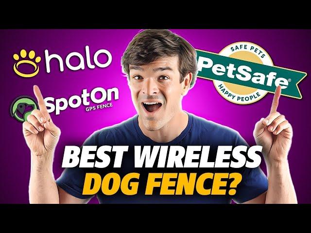 Best Wireless Dog Fence (I'm SHOCKED -  One System Wins!)