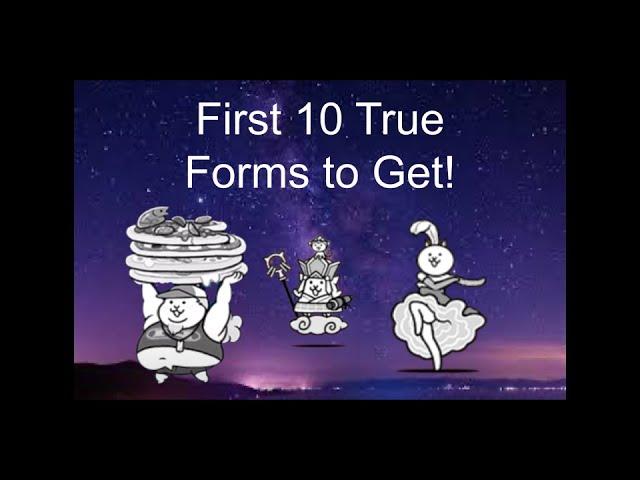 First 10 True Forms Beginner Battle Cats Players should Get