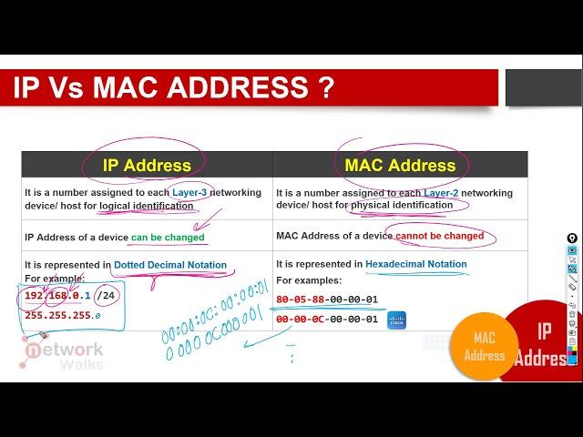 What are the differences between IP & MAC Addresses?