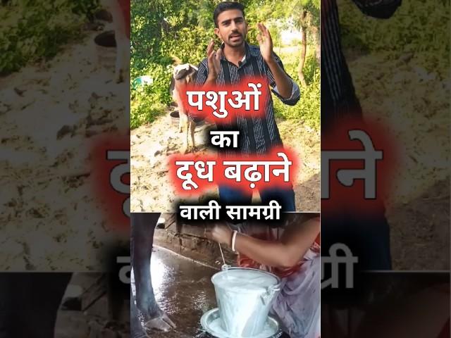 गाय भैंस का दूध बढ़ाने का तरीका #dairyfarm #dairyfarming #milkincrease