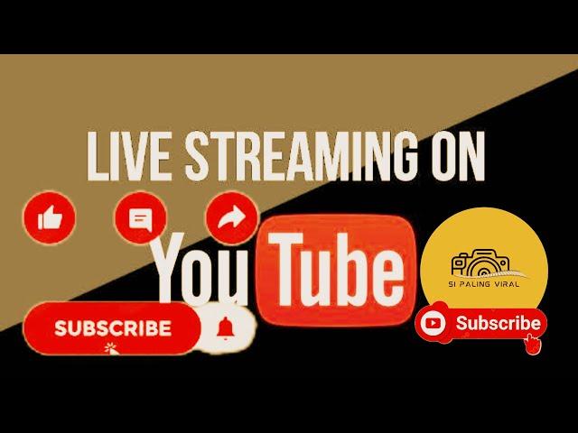 Si Paling Viral sedang live sekarang!