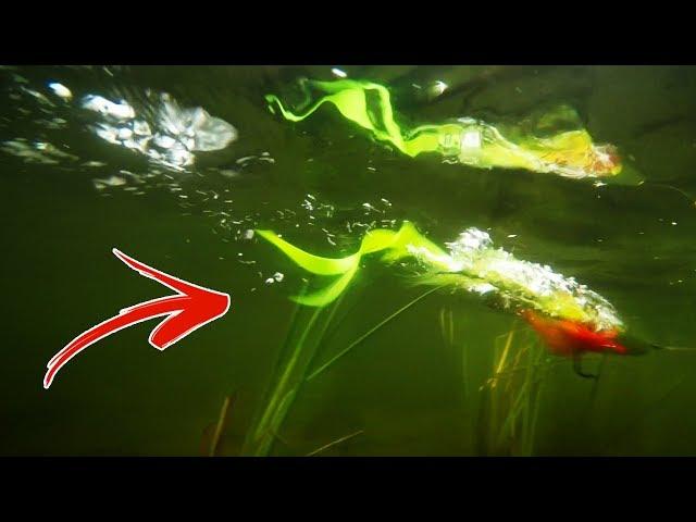 FLY TYING: Tying a Topwater PIKE POPPER (Tie TV ft. Niklaus Bauer)