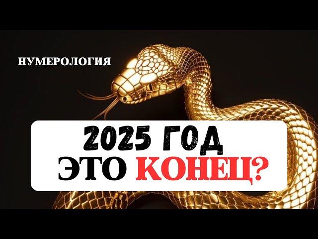 НУМЕРОЛОГИЧЕСКИЙ ПРОГНОЗ НА 2025 ГОД ЗМЕИ, РАСЧЁТ ЛИЧНОГО ЧИСЛА КАРМЫ И СУДЬБЫ,РЕКОМЕНДАЦИИ ДЛЯ ВСЕХ