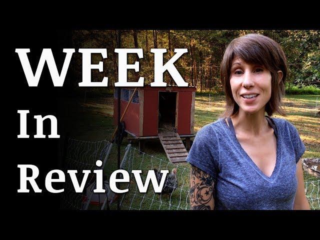 What HAPPENED On the Homestead? | July 15, 2017