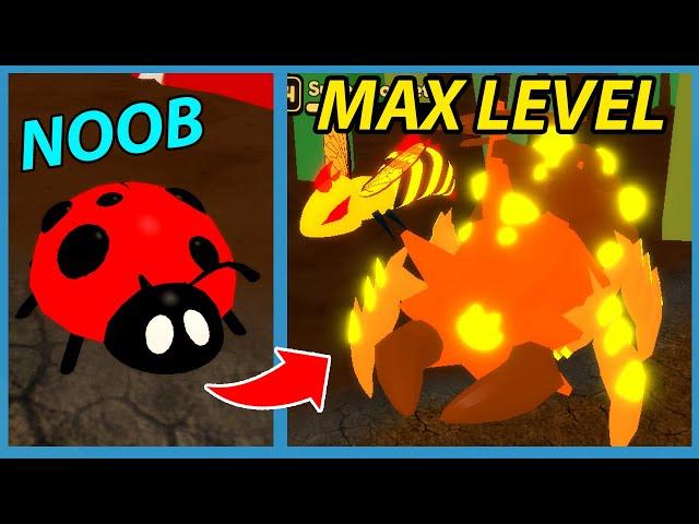 Noob With Super Bee Pet! Got Max Level! | Roblox Bug Simulator