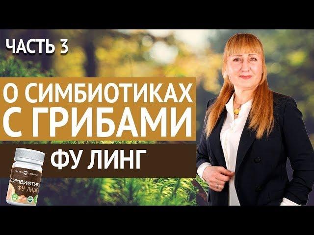 Родник здоровья | О Симбиотиках с грибами. Часть 3. Фу линг