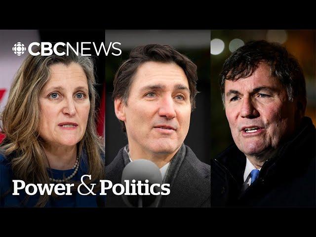 Here are some potential candidates who could replace Trudeau | Power & Politics