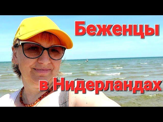 Жизнь беженцев в Нидерландах Какое оно? Северное море? Мы на море!