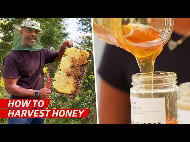 How a Family Business Became One of America's Best Natural Honey Vendors — Vendors