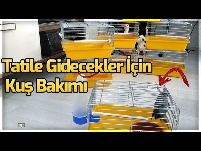 TATİLE GİDERKEN KUŞLAR İÇİN YAPILACAKLAR 