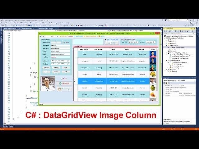 C# : How to Display Images in Cells of DataGridView from Access Database (Part 1/2)