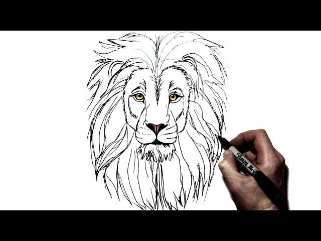 How to Draw a Lion | Step by Step