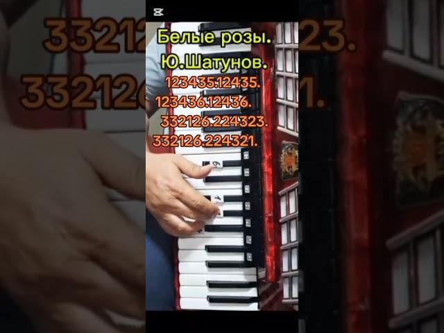 АККОРДЕОН ОНЛАЙН КУРС./Шатунов.Ю./Белые розы.
