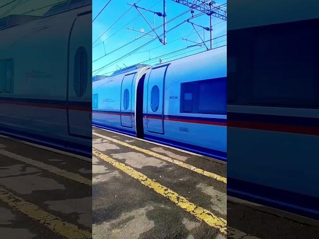 #train #поезд #railway электропоезд эвс1 Сапсан пролетает станцию Решетниково по 1 пути