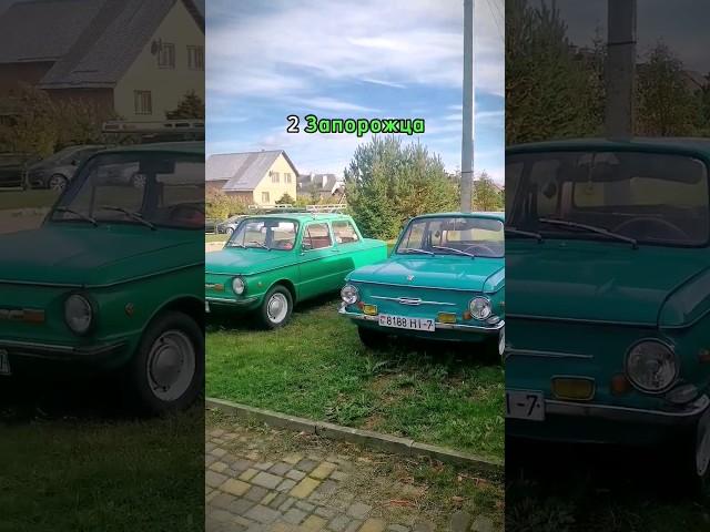 2 Запорожца на выбор #заз968м #заз968а #запорожец #заз #ретроавто #автоссср