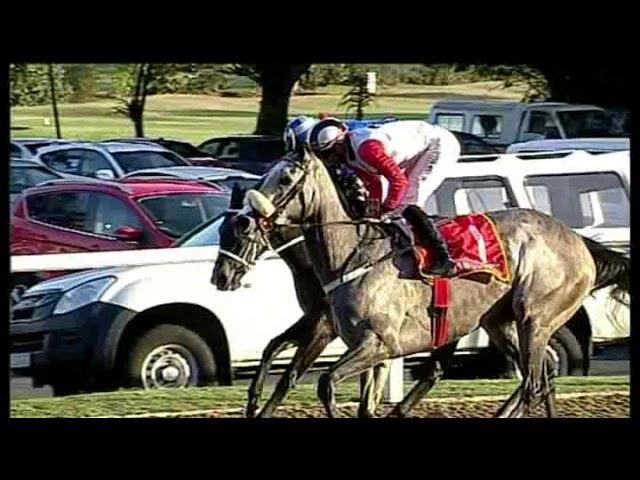 20190908 Hollywood Bets Greyville Race 8 won by WHAT A THRILL