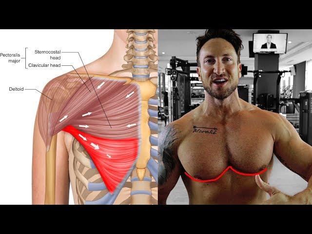 SuperHuman Lower Chest Workout (BALLOON METHOD)