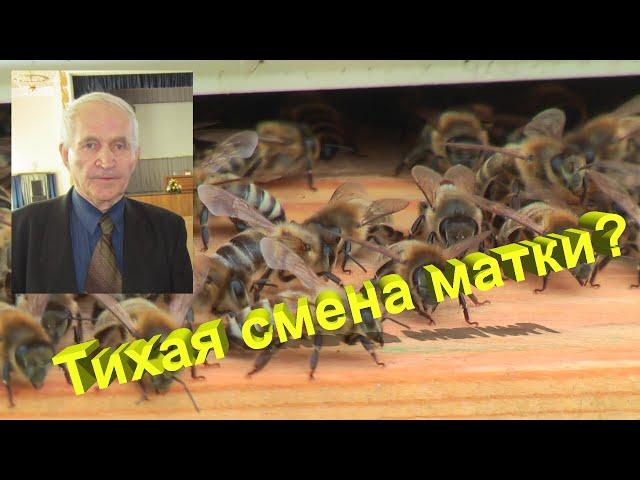 Профессор Кашковский: как можно понять о тихой смене матки?